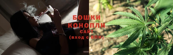 крисы Белоозёрский