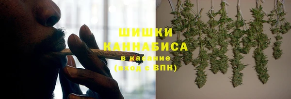 крисы Богданович