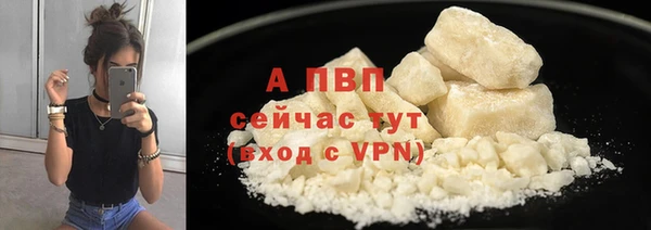винт Туринск