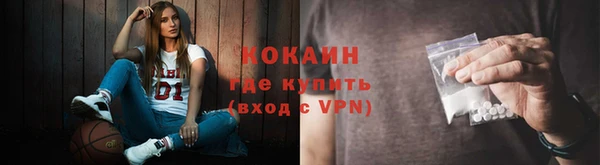 дмт Белокуриха