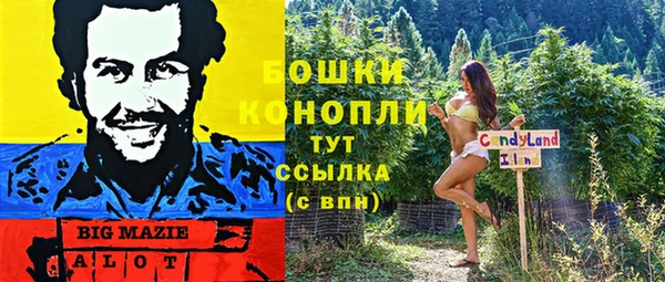 крисы Белоозёрский