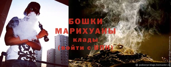 PSILOCYBIN Куровское