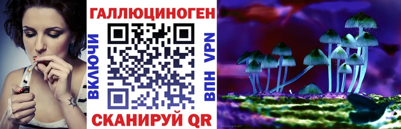 Псилоцибиновые грибы GOLDEN TEACHER  blacksprut сайт  Волосово 